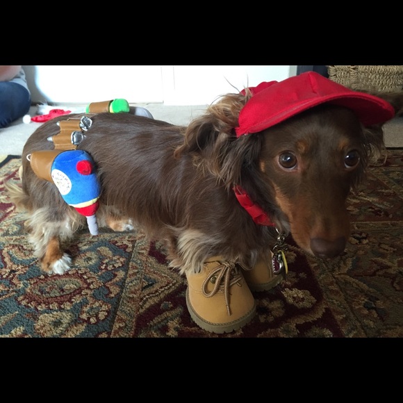 Meet your Posher, Lisa - Picture 1 of 4